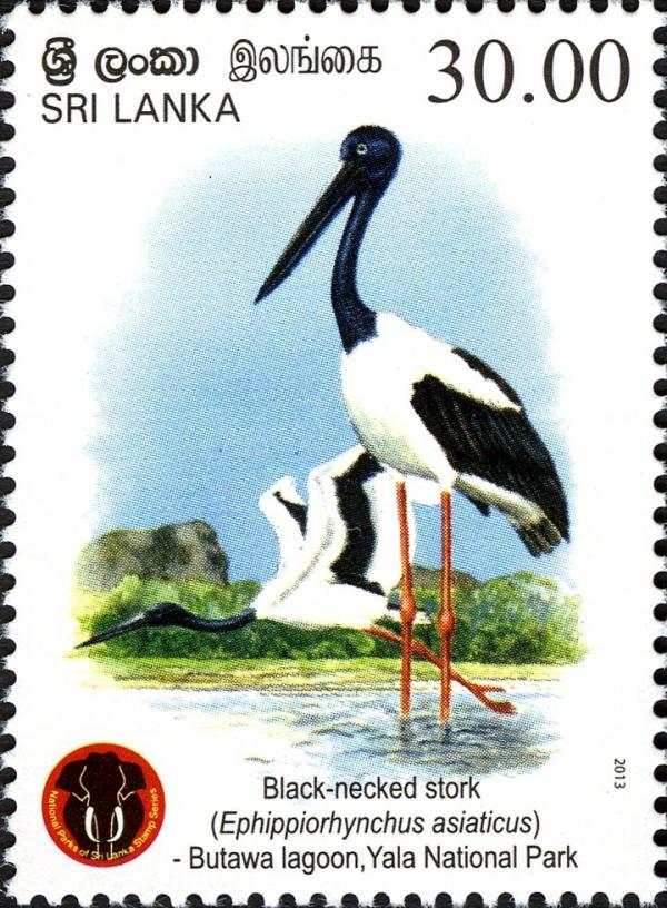 Sri Lanka 2013-07-28 Yala National Park - Black-Necked Stork (Ephippiorhynchus Asiaticus) Stamp - Rs 30.00