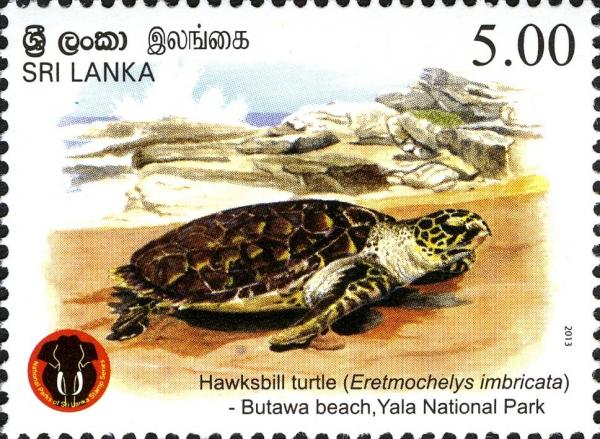 Sri Lanka 2013-07-28 Yala National Park - Hawksbill Turtle (Eretmochelys Imbricata) Stamp - Rs 5.00