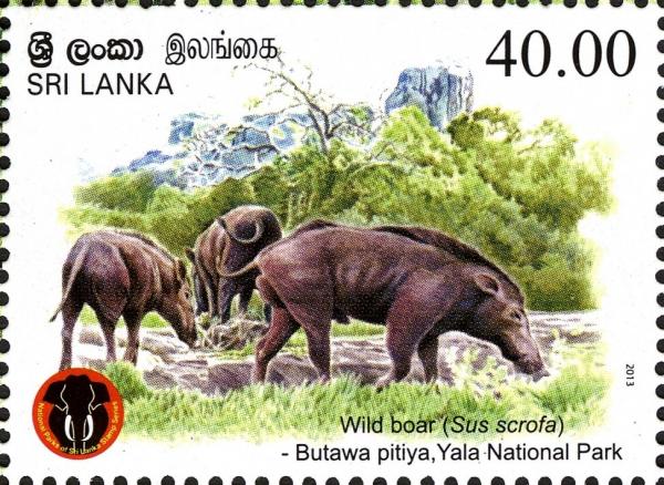 Sri Lanka 2013-07-28 Yala National Park - Wild Boar (Sus Scrofa) Stamp - Rs 40.00