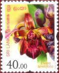 Sri Lanka 2016-10-07 Flowers Of Sri Lanka – Luisia Teretifolia Stamp – Rs 40.00