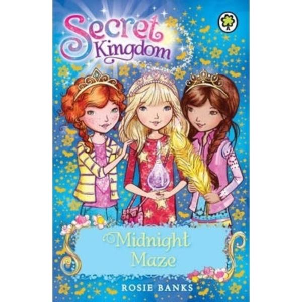 Secret Kingdom : Midnight Maze - 12