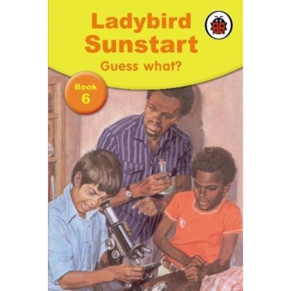 Ladybird Sunstart: Guess What ? - Book 6