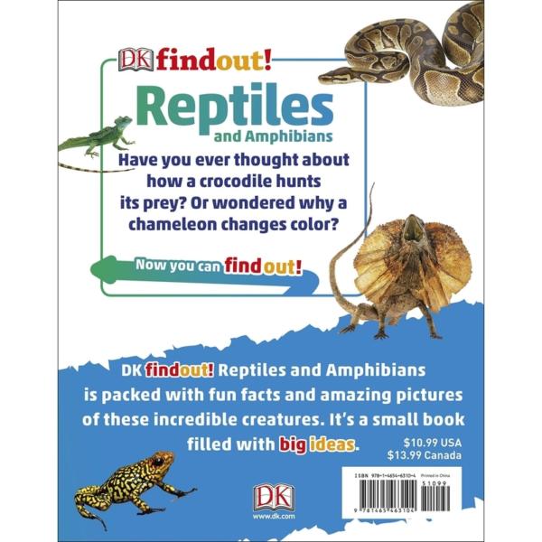 DK findout! Reptiles and Amphibians