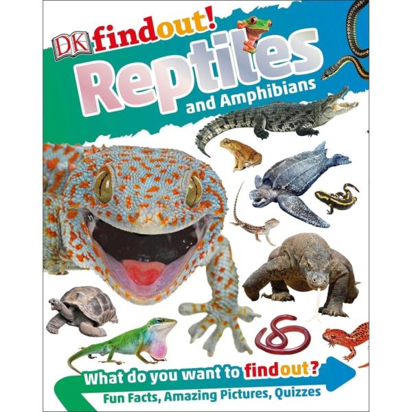 DK findout! Reptiles and Amphibians