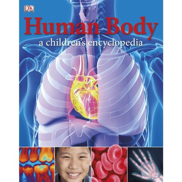 DK Human Body A Childrens Encyclopedia