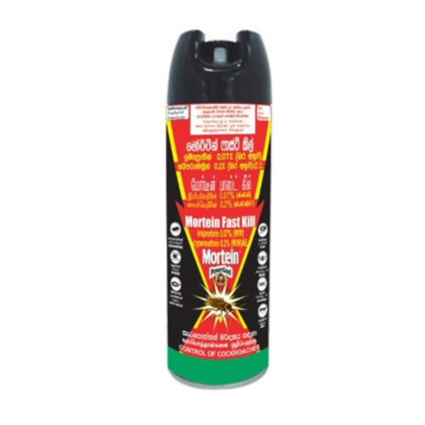 Mortein Aerosol-Fast Kill - 250ml