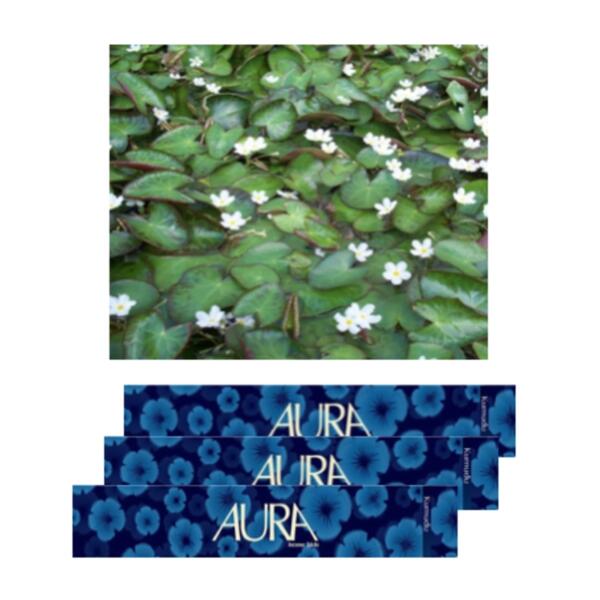 Aura Incense Sticks - Water Snowflake - Kumudu (S)