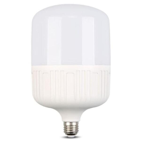 Dimo Lumin High Power 20W Day Light - Pin Type